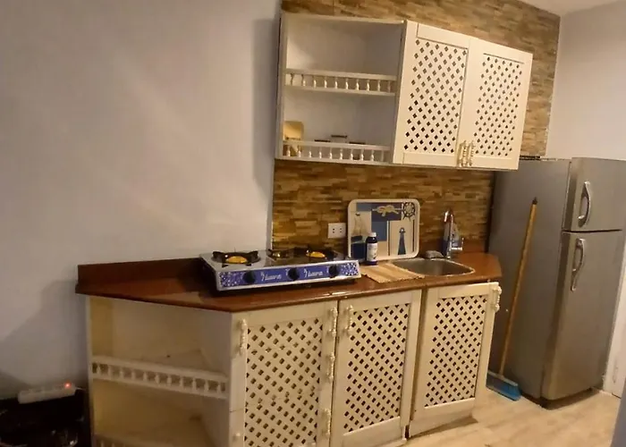 Apartment Palmera